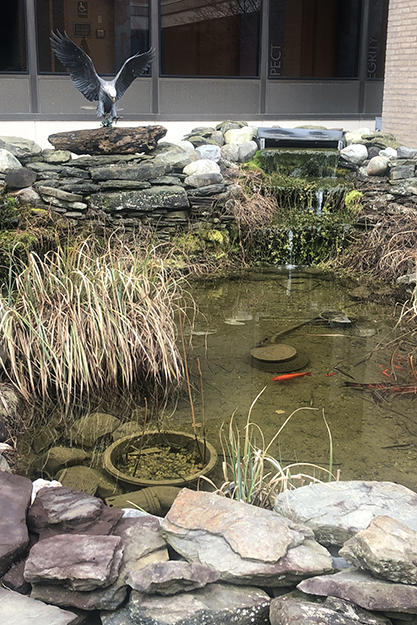 A garden at the FBI Academy.